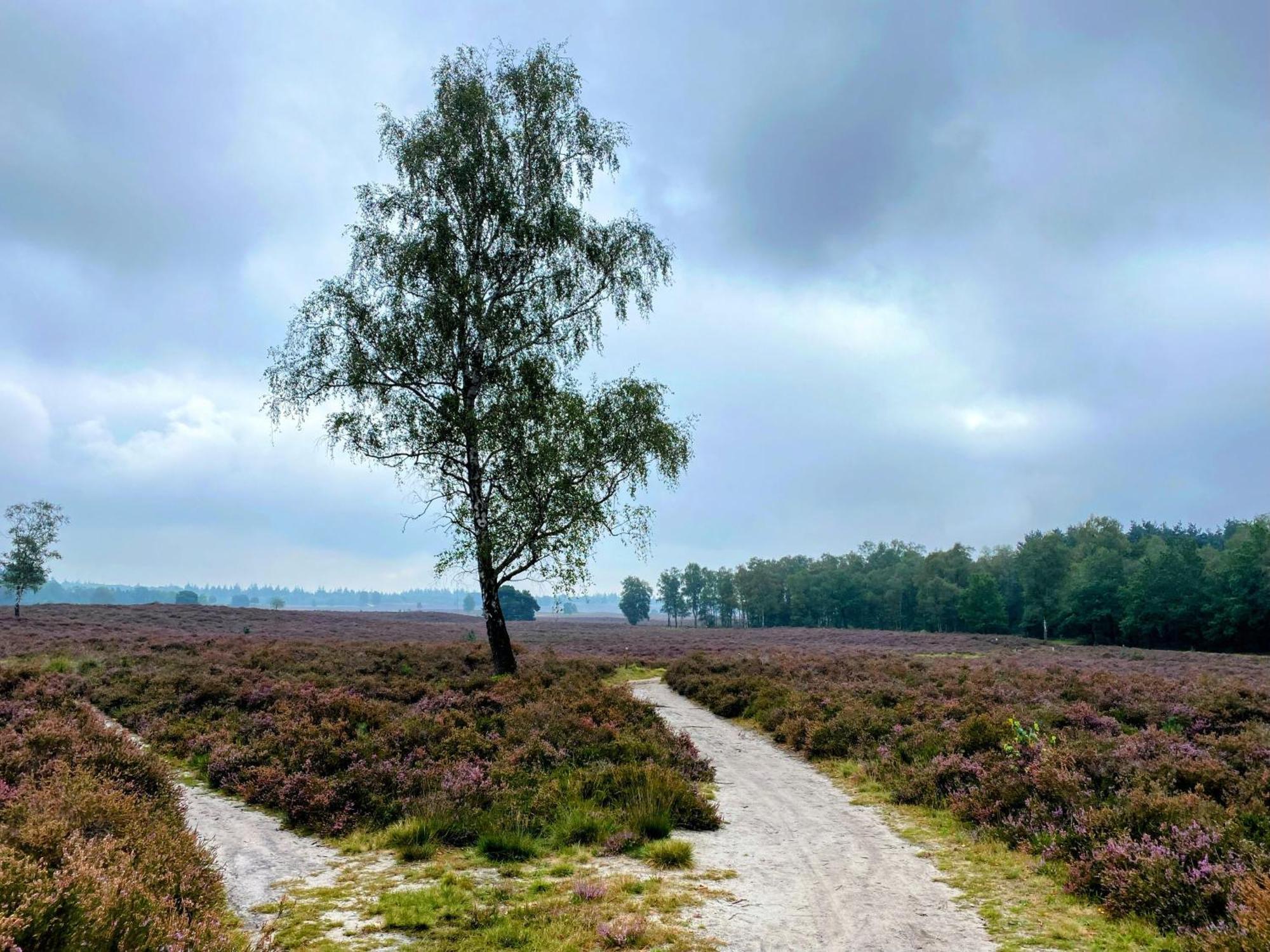 Huisje Aan De Bosrand - Veluwe エーペ エクステリア 写真